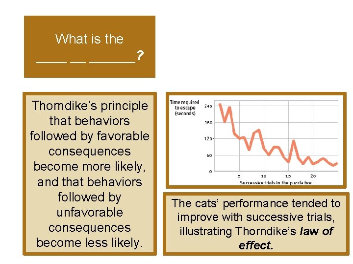 What is the ____ __ ______? Thorndike’s principle that behaviors followed by favorable consequences