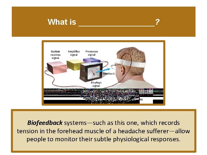 What is _________? Biofeedback systems—such as this one, which records tension in the forehead