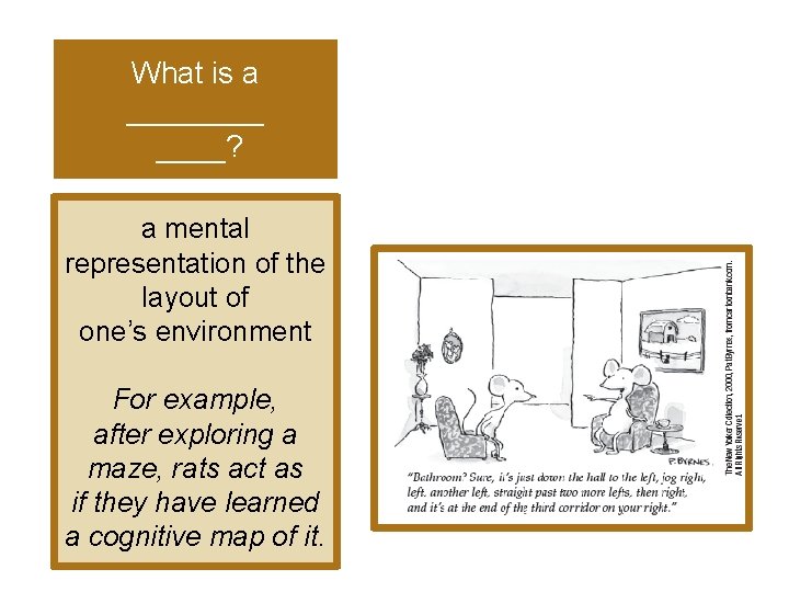What is a ____? a mental representation of the layout of one’s environment For