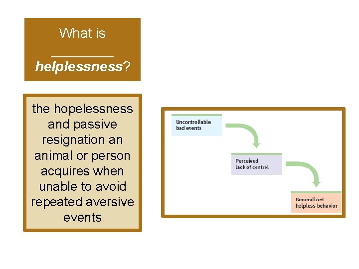 What is ____ helplessness? the hopelessness and passive resignation an animal or person acquires