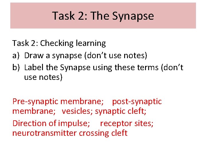 Task 2: The Synapse Task 2: Checking learning a) Draw a synapse (don’t use