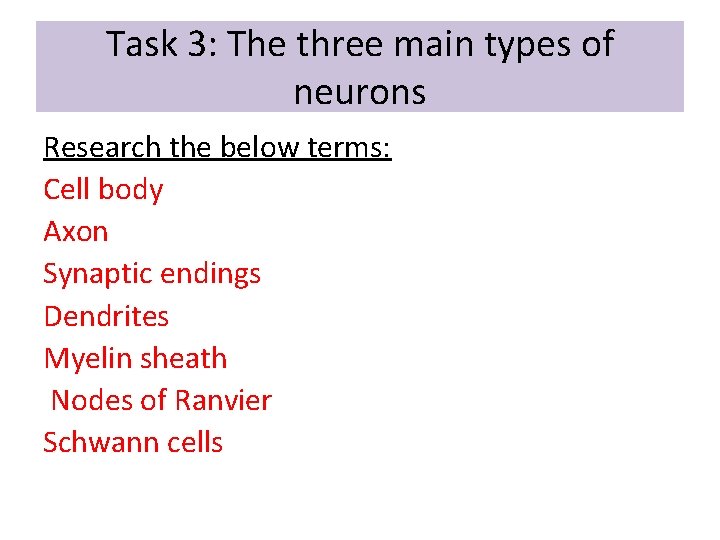 Task 3: The three main types of neurons Research the below terms: Cell body