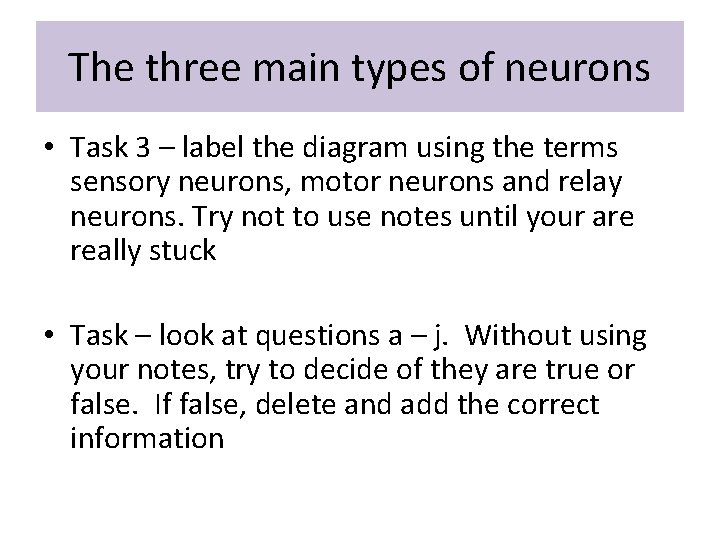 The three main types of neurons • Task 3 – label the diagram using