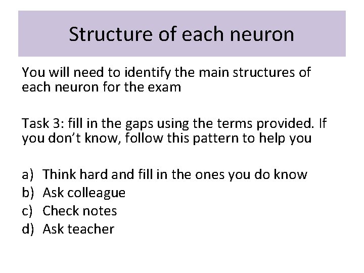 Structure of each neuron You will need to identify the main structures of each