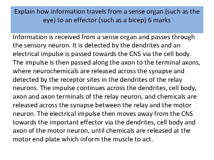 Explain how information travels from a sense organ (such as the eye) to an