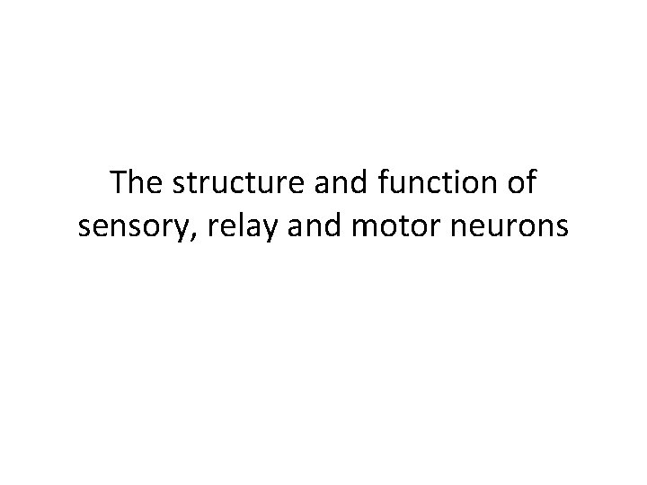 The structure and function of sensory, relay and motor neurons 