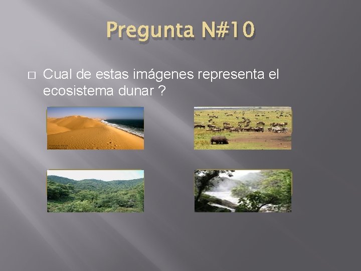 Pregunta N#10 � Cual de estas imágenes representa el ecosistema dunar ? 