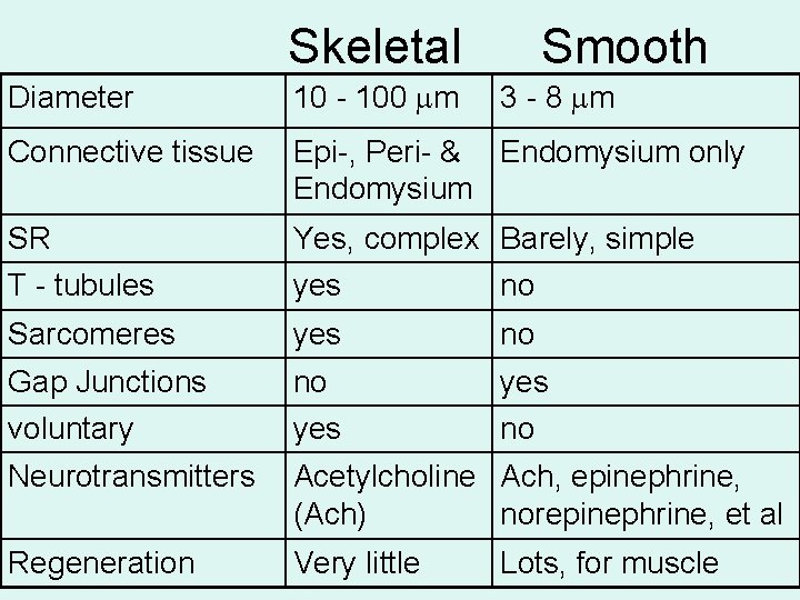 Skeletal Smooth Diameter 10 - 100 m 3 - 8 m Connective tissue Epi-,