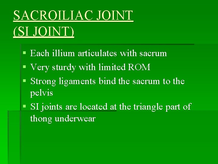 SACROILIAC JOINT (SI JOINT) § Each illium articulates with sacrum § Very sturdy with