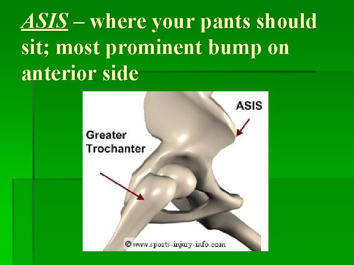 ASIS – where your pants should sit; most prominent bump on anterior side 