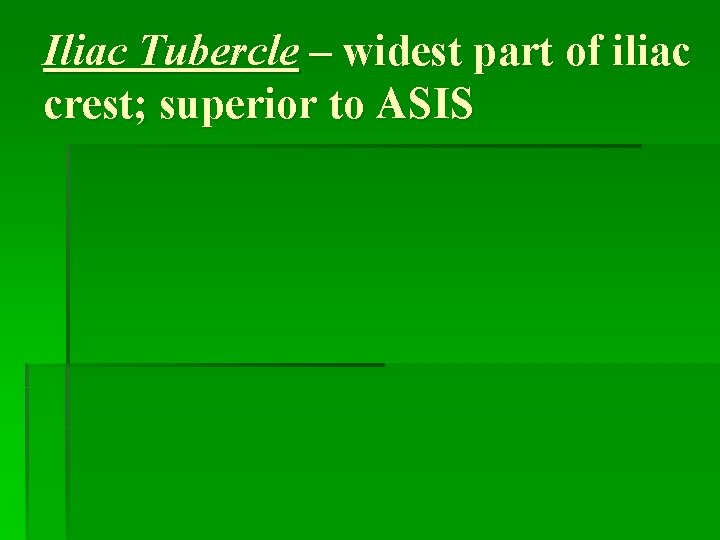 Iliac Tubercle – widest part of iliac crest; superior to ASIS 