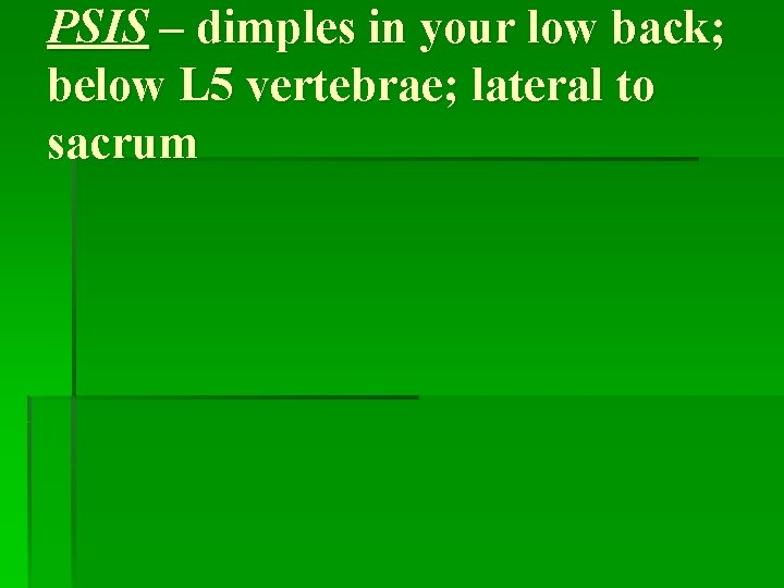 PSIS – dimples in your low back; below L 5 vertebrae; lateral to sacrum