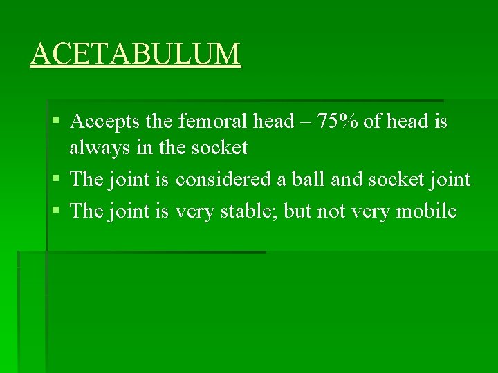 ACETABULUM § Accepts the femoral head – 75% of head is always in the