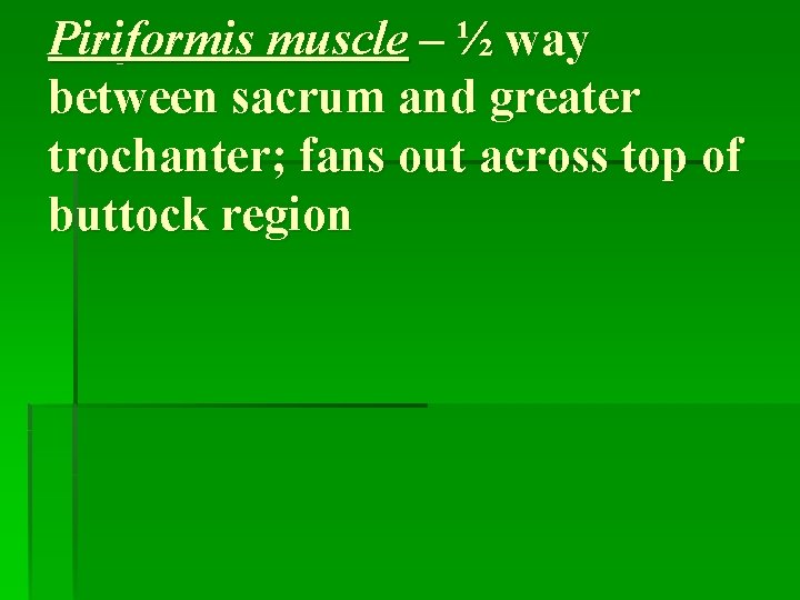 Piriformis muscle – ½ way between sacrum and greater trochanter; fans out across top
