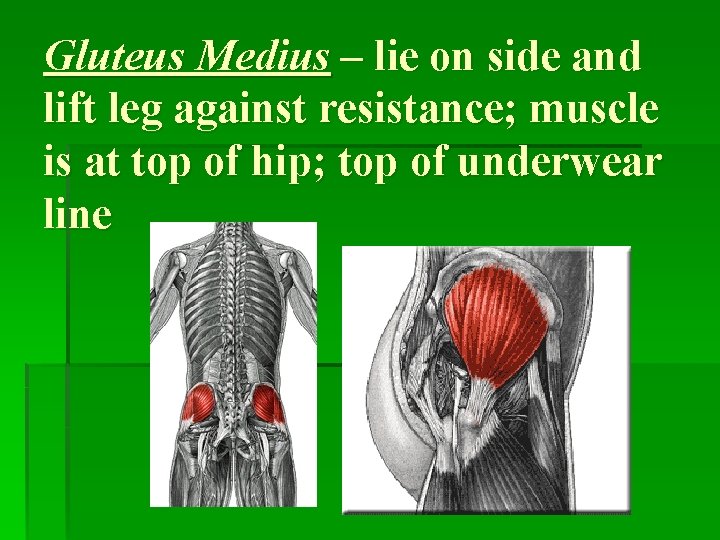 Gluteus Medius – lie on side and lift leg against resistance; muscle is at