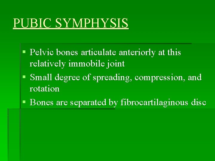 PUBIC SYMPHYSIS § Pelvic bones articulate anteriorly at this relatively immobile joint § Small