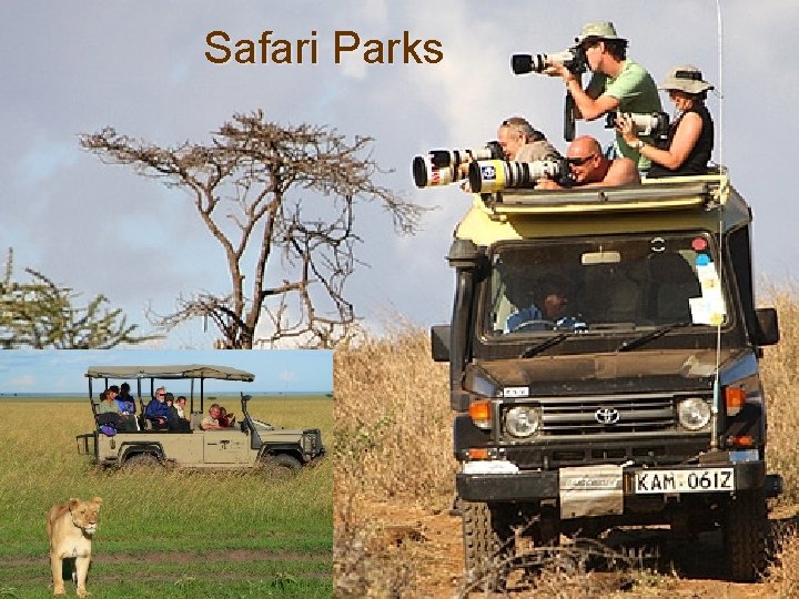 Safari Parks 