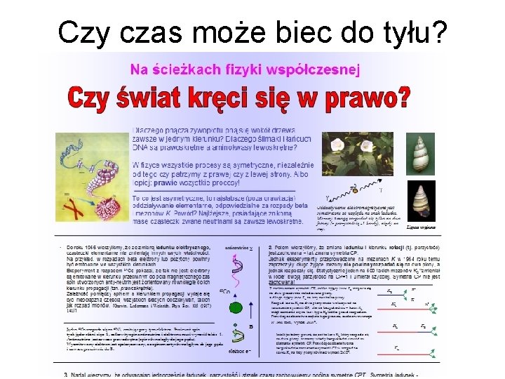 Czy czas może biec do tyłu? 