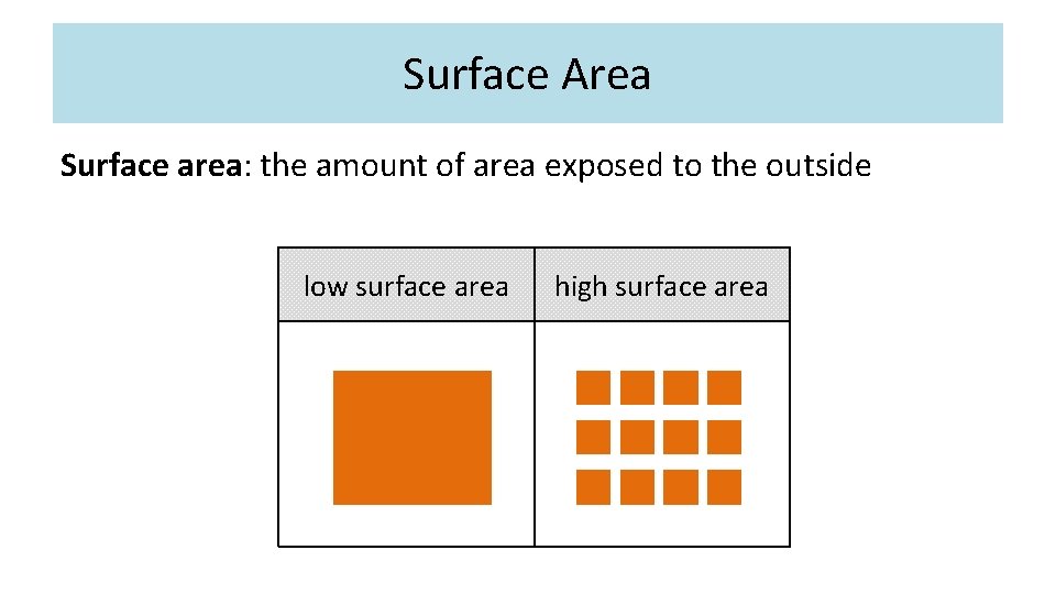 Surface Area Surface area: the amount of area exposed to the outside low surface