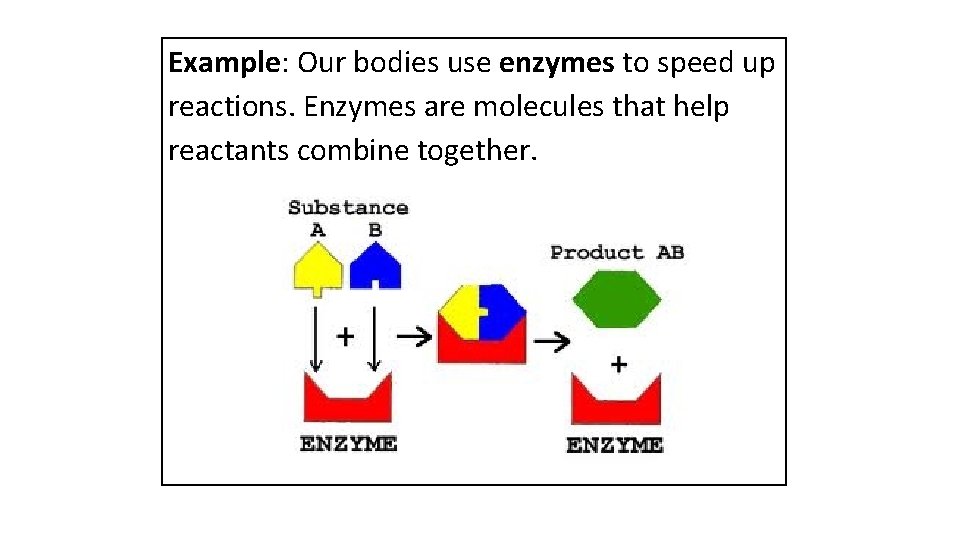 Example: Our bodies use enzymes to speed up reactions. Enzymes are molecules that help