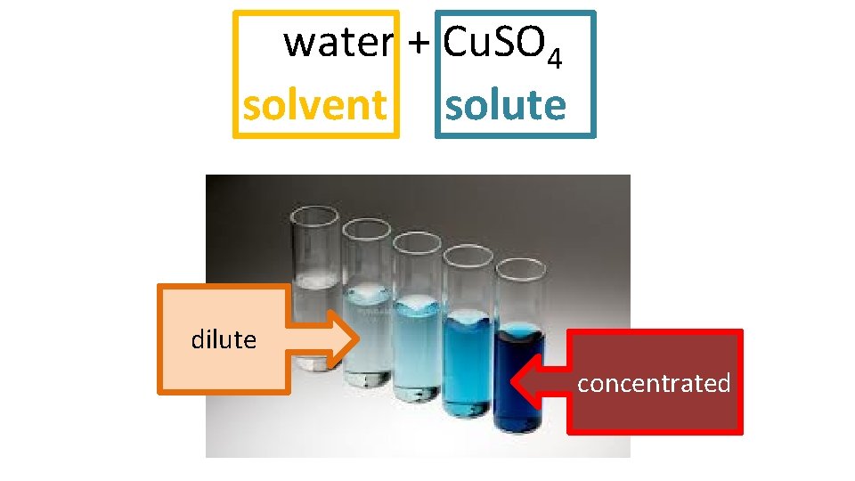 water + Cu. SO 4 solvent solute dilute concentrated 