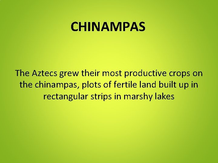 CHINAMPAS The Aztecs grew their most productive crops on the chinampas, plots of fertile