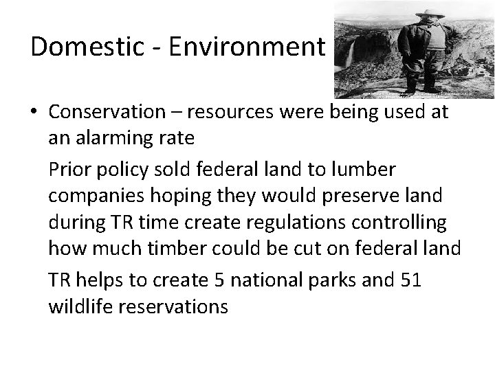 Domestic - Environment • Conservation – resources were being used at an alarming rate