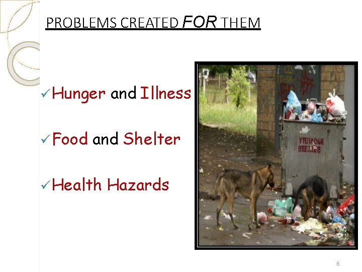 PROBLEMS CREATED FOR THEM Hunger Food and Illness and Shelter Health Hazards 6 PROBLEMS CREATED FOR THEM Hunger Food and Illness and Shelter Health Hazards 6