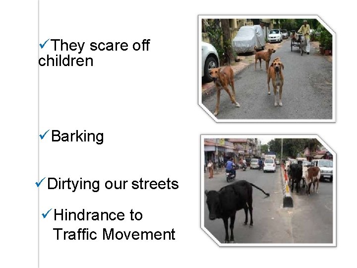 They scare off children Barking Dirtying our streets Hindrance to Traffic Movement They scare off children Barking Dirtying our streets Hindrance to Traffic Movement
