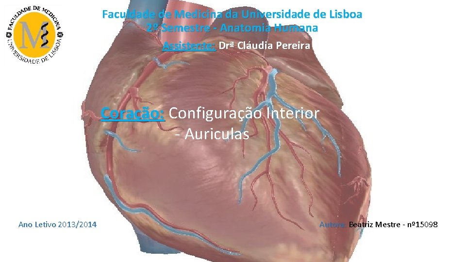 Faculdade de Medicina da Universidade de Lisboa 2º Semestre - Anatomia Humana Assistente: Drª