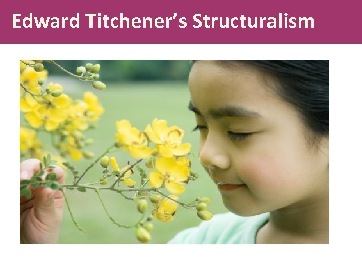 Edward Titchener’s Structuralism 