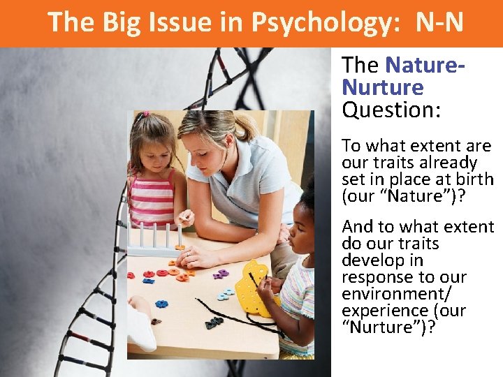 The Big Issue in Psychology: N-N The Nature. Nurture Question: To what extent are