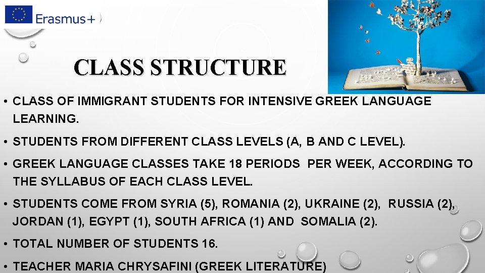 CLASS STRUCTURE • CLASS OF IMMIGRANT STUDENTS FOR INTENSIVE GREEK LANGUAGE LEARNING. • STUDENTS