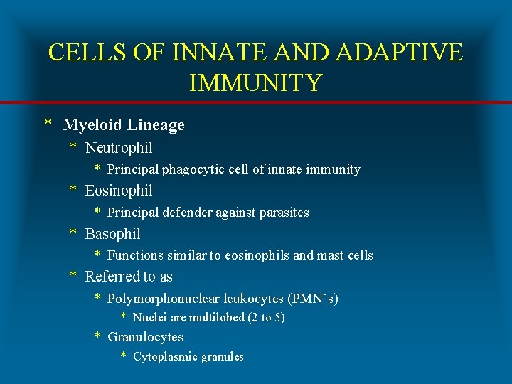 CELLS OF INNATE AND ADAPTIVE IMMUNITY * Myeloid Lineage * Neutrophil * Principal phagocytic