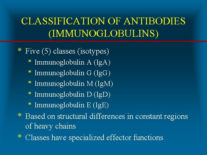 CLASSIFICATION OF ANTIBODIES (IMMUNOGLOBULINS) * Five (5) classes (isotypes) * * * Immunoglobulin A
