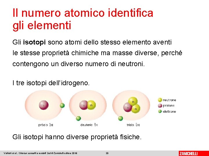 Il numero atomico identifica gli elementi Gli isotopi sono atomi dello stesso elemento aventi