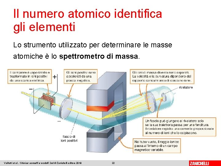 Il numero atomico identifica gli elementi Lo strumento utilizzato per determinare le masse atomiche