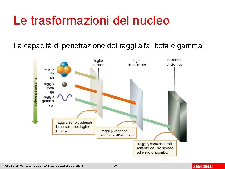 Le trasformazioni del nucleo La capacità di penetrazione dei raggi alfa, beta e gamma.