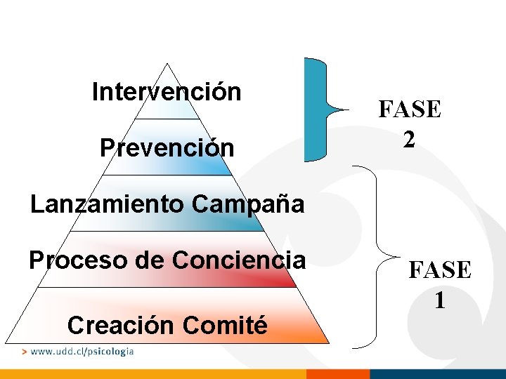 Intervención Prevención FASE 2 Lanzamiento Campaña Proceso de Conciencia Creación Comité FASE 1 