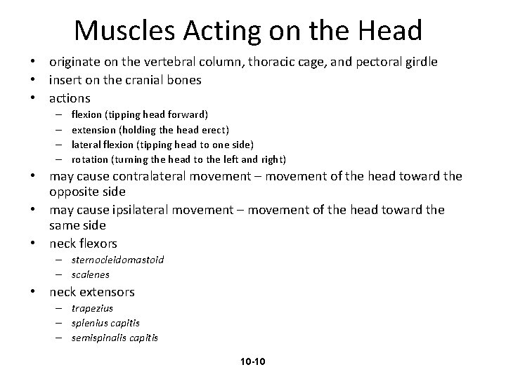 Muscles Acting on the Head • originate on the vertebral column, thoracic cage, and