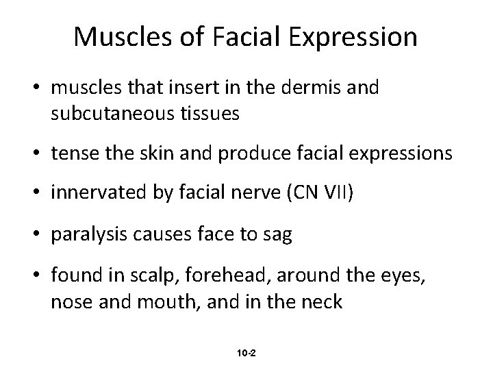 Muscles of Facial Expression • muscles that insert in the dermis and subcutaneous tissues