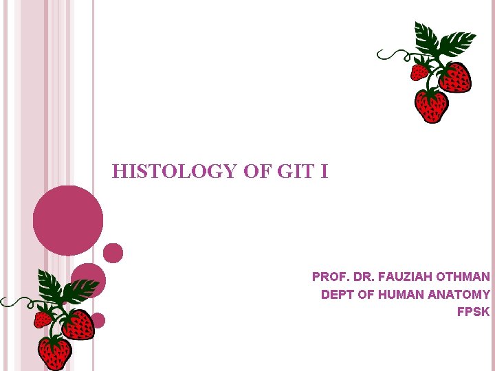 HISTOLOGY OF GIT I PROF. DR. FAUZIAH OTHMAN DEPT OF HUMAN ANATOMY FPSK HISTOLOGY OF GIT I PROF. DR. FAUZIAH OTHMAN DEPT OF HUMAN ANATOMY FPSK