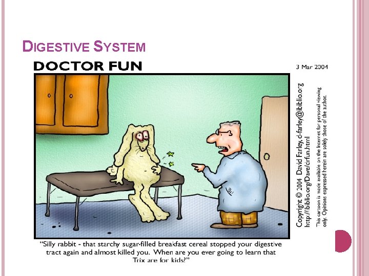 DIGESTIVE SYSTEM DIGESTIVE SYSTEM