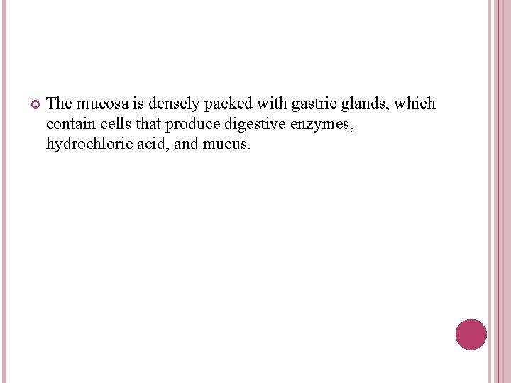 The mucosa is densely packed with gastric glands, which contain cells that produce The mucosa is densely packed with gastric glands, which contain cells that produce