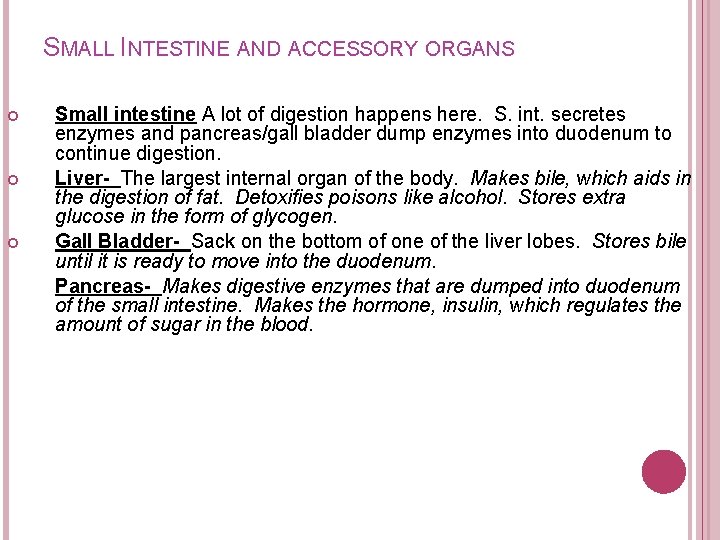 SMALL INTESTINE AND ACCESSORY ORGANS Small intestine A lot of digestion happens here. S. SMALL INTESTINE AND ACCESSORY ORGANS Small intestine A lot of digestion happens here. S.