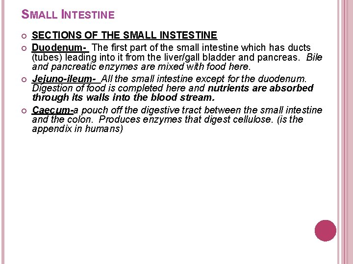 SMALL INTESTINE SECTIONS OF THE SMALL INSTESTINE Duodenum- The first part of the small SMALL INTESTINE SECTIONS OF THE SMALL INSTESTINE Duodenum- The first part of the small