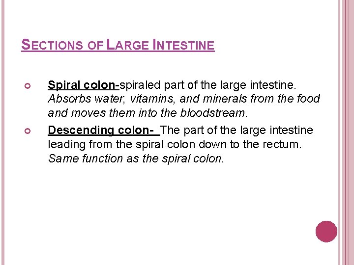SECTIONS OF LARGE INTESTINE Spiral colon-spiraled part of the large intestine. Absorbs water, vitamins, SECTIONS OF LARGE INTESTINE Spiral colon-spiraled part of the large intestine. Absorbs water, vitamins,