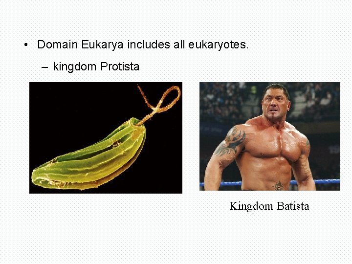  • Domain Eukarya includes all eukaryotes. – kingdom Protista Kingdom Batista 