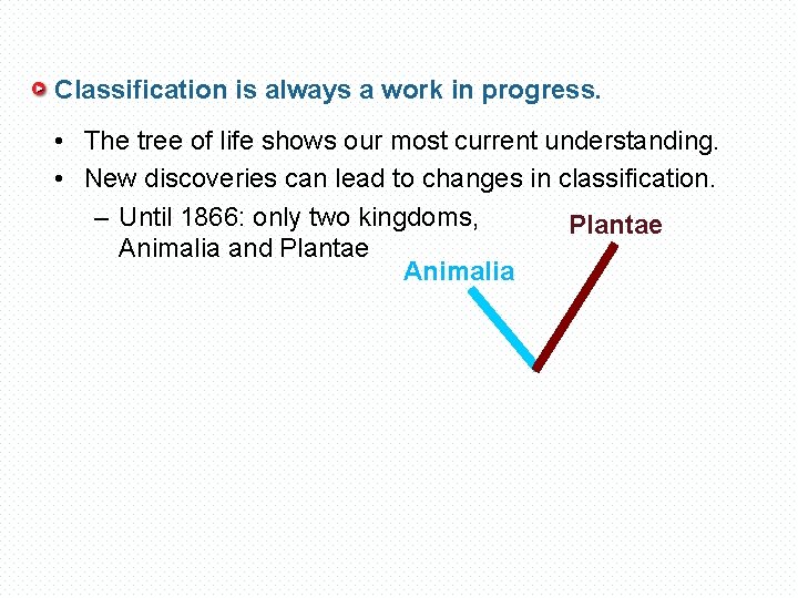 Classification is always a work in progress. • The tree of life shows our