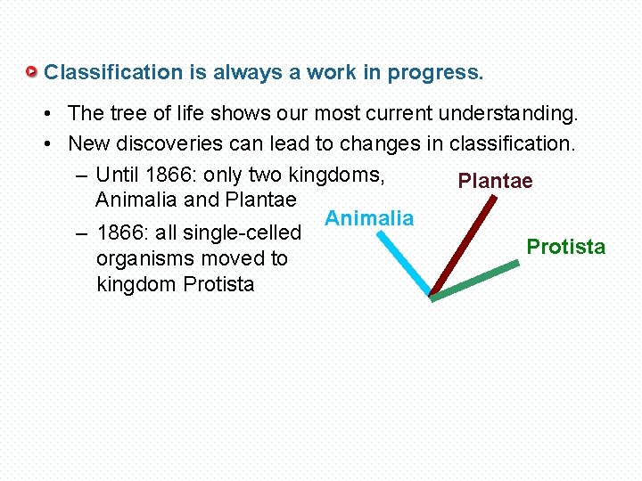 Classification is always a work in progress. • The tree of life shows our